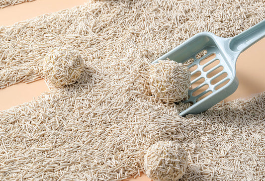 Befriend Nature: A Truly Eco-Friendly Cat Litter Guide